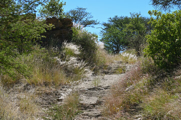 Réserve naturelle en Namibie