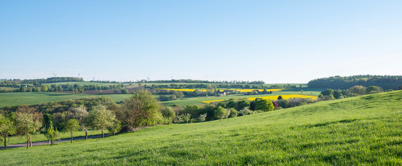 fresh spring colors on trees and fields in german nature park saar-hunsrueck under blue sky