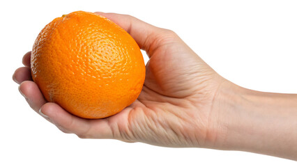 hand holding orange isolated