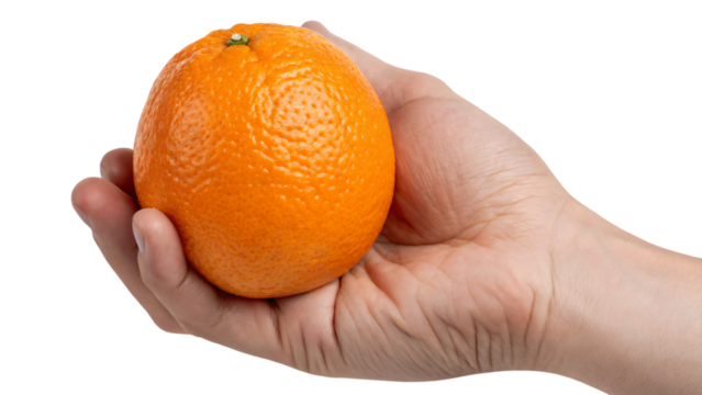 hand holding orange isolated
