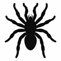Minimalist Tarantula Silhouette Vector
