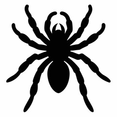 Minimalist Tarantula Silhouette Vector