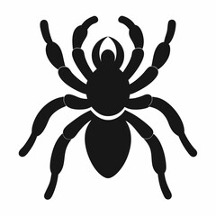 Minimalist Tarantula Silhouette Vector