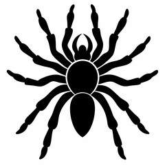 Minimalist Tarantula Silhouette Vector