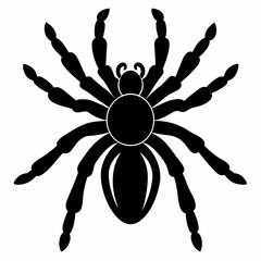 Minimalist Tarantula Silhouette Vector