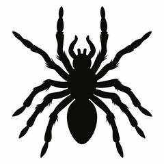 Minimalist Tarantula Silhouette Vector