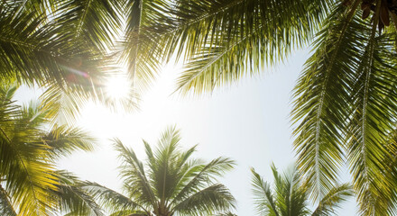 Fototapeta premium Palm trees viewed from below against bright blue sky with sun rays. Tropical summer perspective. Exotic vacation atmosphere. Travel destination. Resort paradise. Upward looking view. Horizontal banner