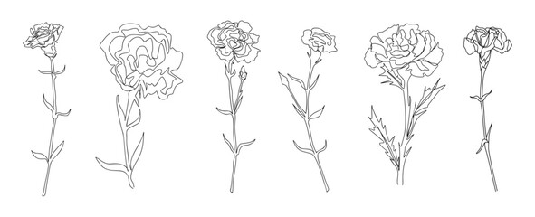 Birth month flower line art vector illustrations set isolated on white. Carnation January birth month flower black ink sketch. Modern minimalist hand drawn design logo, tattoo, wall art, poster.