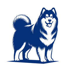 Majestic Alaskan Malamute Dog: A Stunning Black and White Portrait of a Happy Canine Companion