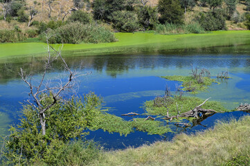 Lac dans le centre de la Namibie