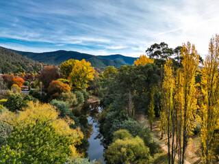 Stunning aerial photo of Bright, VIC,  Australia during fall season. Vibrant autumn leaves in red, orange, and yellow surround the peaceful river and town, set against a backdrop of green mountains