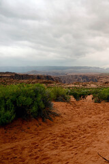 Naklejka premium Trail to Horse Shoe Bend Arizona