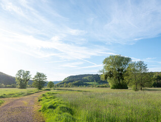 trees and wetlands of river Saar in national park saar-hunsrueck near metlach in germany