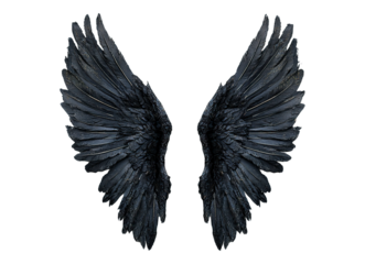 Dark angel wings