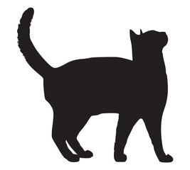 vector cat silhouette