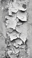 Obraz premium Peeling paint texture urban setting close-up photography grayscale detailed view art concept