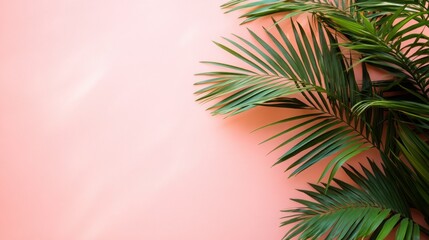 Tropical Palm Leaves on a Pastel Pink Background