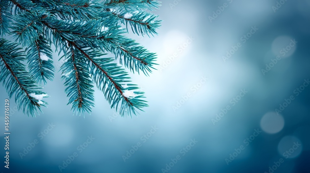 Leinwandbilder frosted pine needles adorned with light snowflakes showcase a tranquil winter setting, enhanced by g