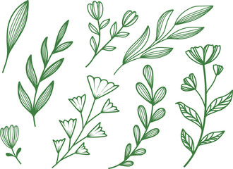 Minimalist hand drawn botanical lineart, green leaves lineart, floral element ilustration, leaf graphic element