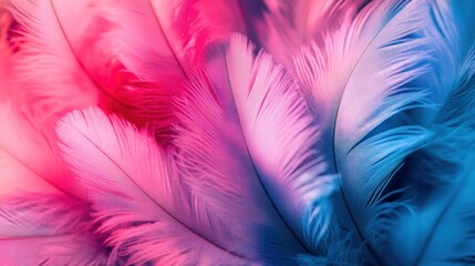 Obraz premium Vibrant feather texture in soft pinks and blues