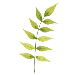 green leaves watercolor