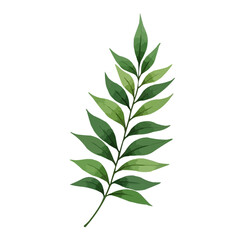 Obraz premium green leaves watercolor