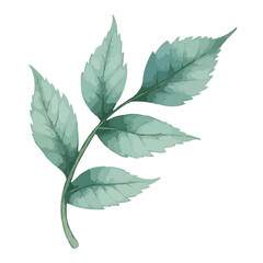 green leaves watercolor