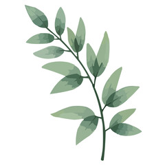 Fototapeta premium green leaves watercolor