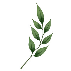 green leaves watercolor