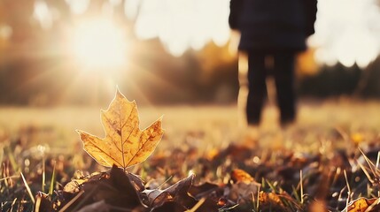 Single autumn leaf backlit by golden sunset light, lying on ground covered with fallen leaves, person walking out of focus in background. : Generative AI