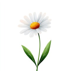 Charming simple watercolor illustration of cartoon daisy flower ideal for spring decor design