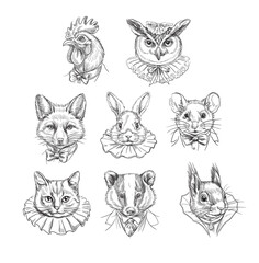 Portraits of animals in human costumes. Vector graphics.