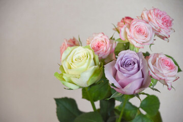 Obraz premium カラフルなばら