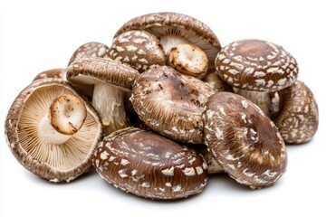 Shiitake mushrooms isolated on white background. Artificial Intelligence image