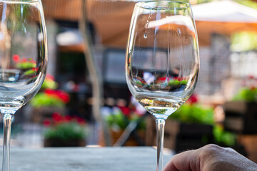 Two sparkling glasses sit on a table, surrounded by colorful flowers and a sunny outdoor ambiance