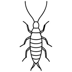 Sleek Earwig Outline Illustration
