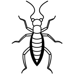 Sleek Earwig Outline Illustration