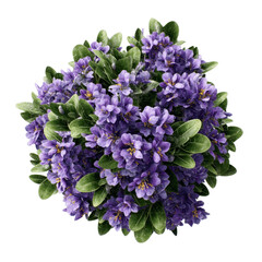 Lush Purple Flower Bush Top View