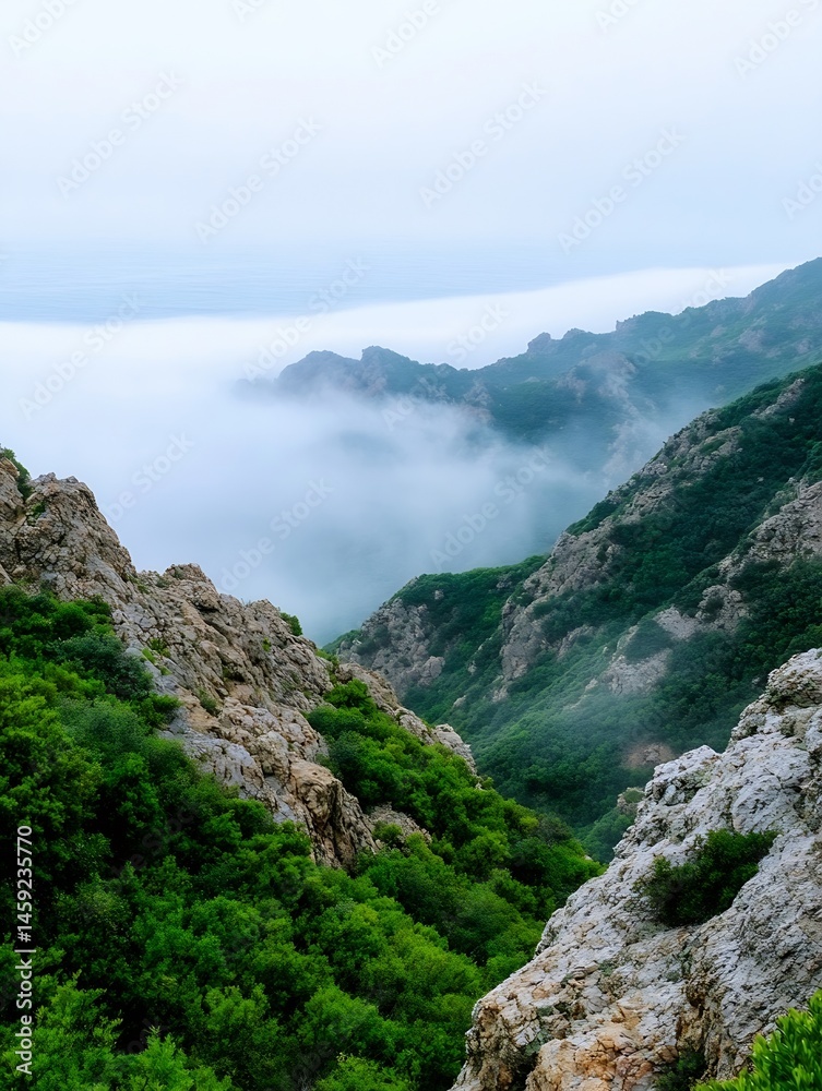 Poster misty mountain valley landscape, showcasing rugged rock formations and lush green vegetation, with a