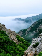 Obraz premium Misty mountain valley landscape, showcasing rugged rock formations and lush green vegetation, with a layer of fog or clouds in the distance, creating a serene and atmospheric scene. : Generative AI