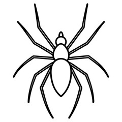 Obraz premium Sleek Wolf Spider Outline Illustration
