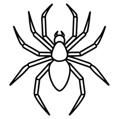 Sleek Wolf Spider Outline Illustration