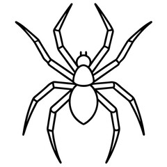 Sleek Wolf Spider Outline Illustration
