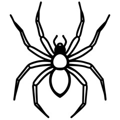 Sleek Wolf Spider Outline Illustration