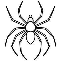 Sleek Wolf Spider Outline Illustration