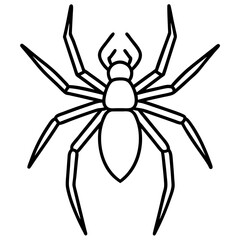 Sleek Wolf Spider Outline Illustration