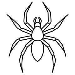 Sleek Wolf Spider Outline Illustration