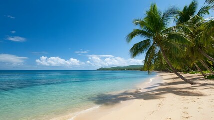 Obraz premium Lush palm trees casting shadows on a tranquil tropical beach