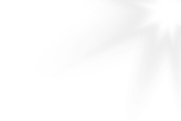 A Radiant Glowing Star with a Warm White Light Perfectly Designed for Various Digital Creations and Artworks