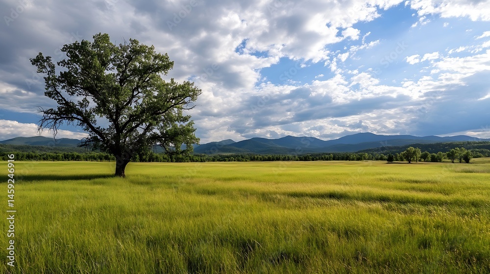 Poster Solitary tree stands in a vast, green field under a partly cloudy sky, with distant mountains providing a scenic backdrop. : Generative AI